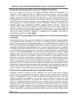 Essay + Answers.pdf